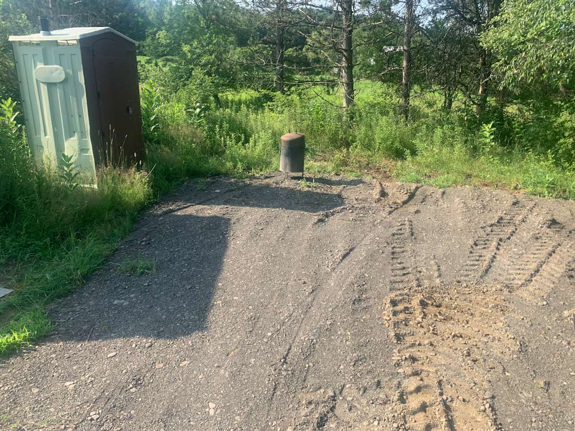 Hillside brook Hipcamp in Willet, New York
