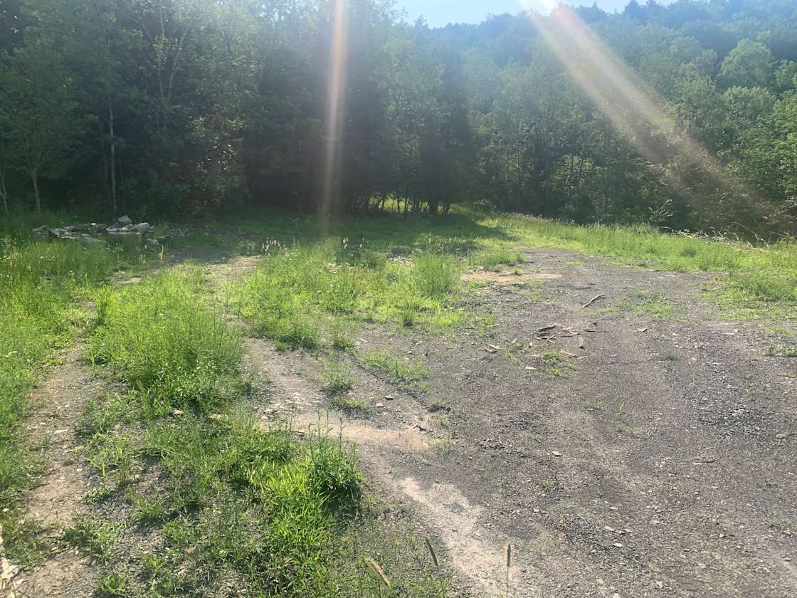 Hillside brook Hipcamp in Willet, New York