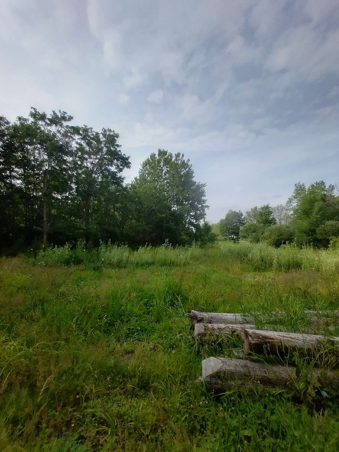 Cornflake Mountain Camping Hipcamp in South Dayton, New York