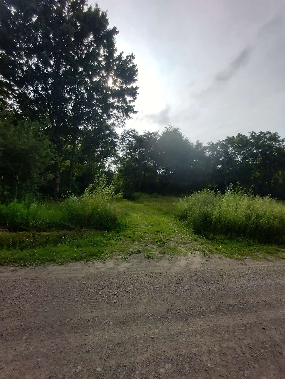 Cornflake Mountain Camping Hipcamp in South Dayton, New York