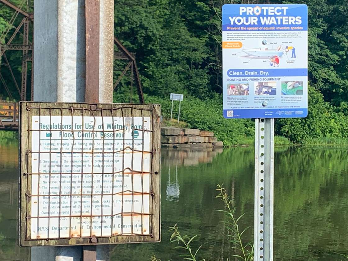 Hillside brook Hipcamp in Willet, New York