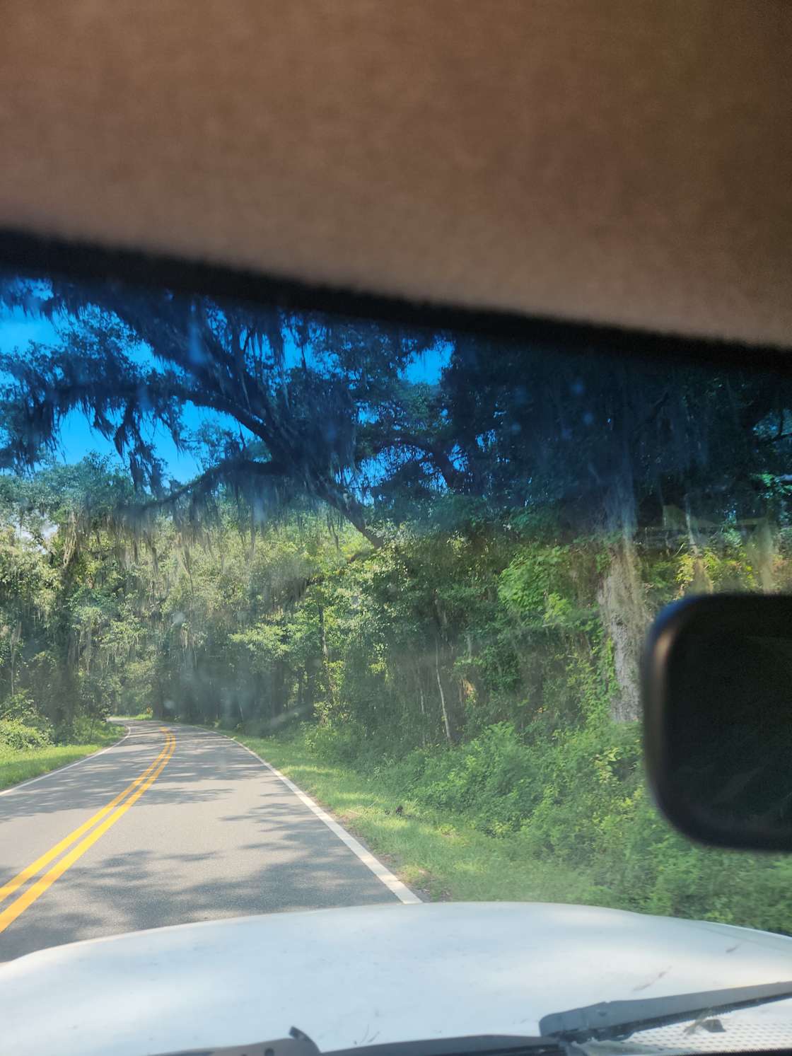 Crawfordville gardens Hipcamp in Crawfordville, Florida