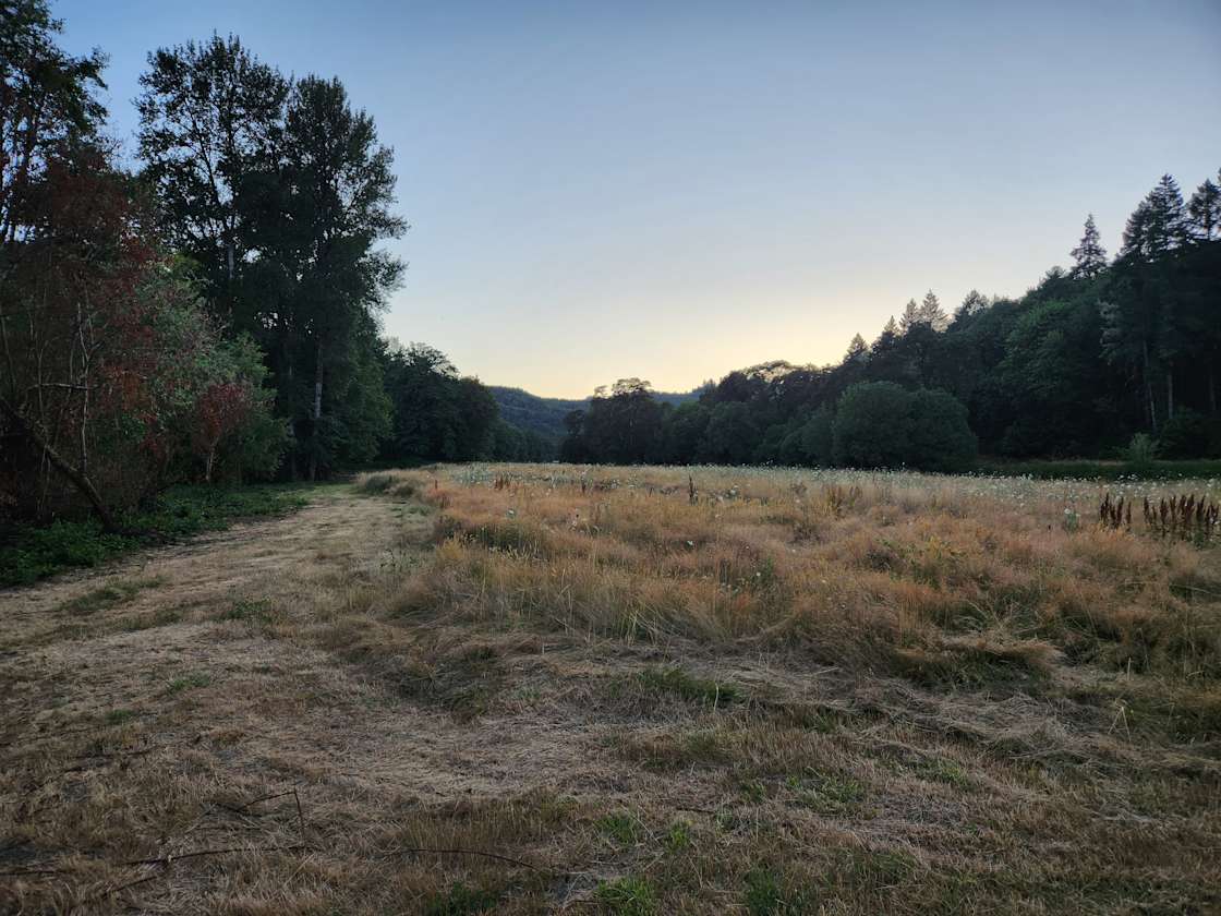 Tyee Farm Hipcamp in Scottsburg, Oregon