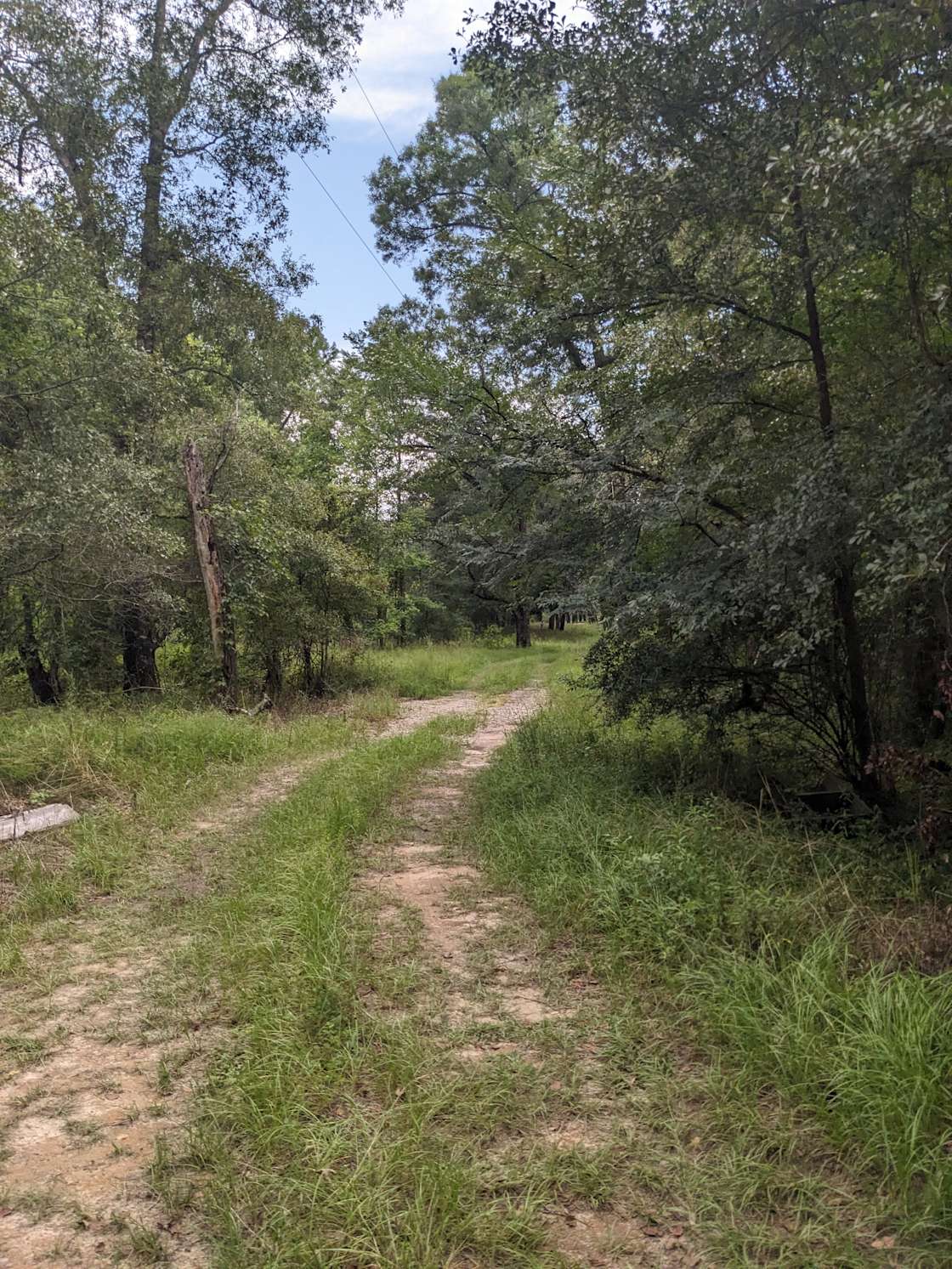 Ohoopee River Hipcamp in Reidsville,