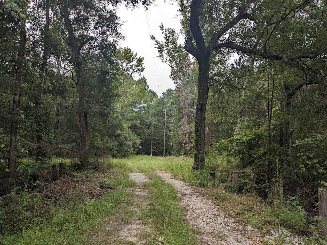 Ohoopee River Hipcamp in Reidsville,