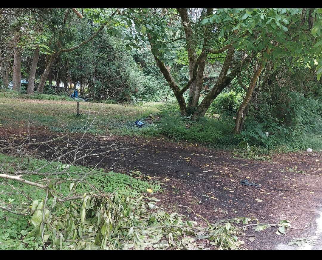 Woodlands at Lake Stickney Hipcamp in Lynnwood, Washington