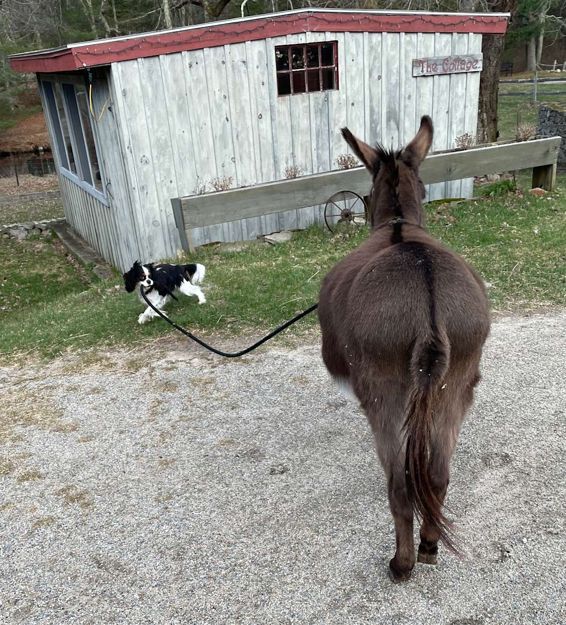 Grace Note Farm Inn Hipcamp in Pascoag, Rhode Island