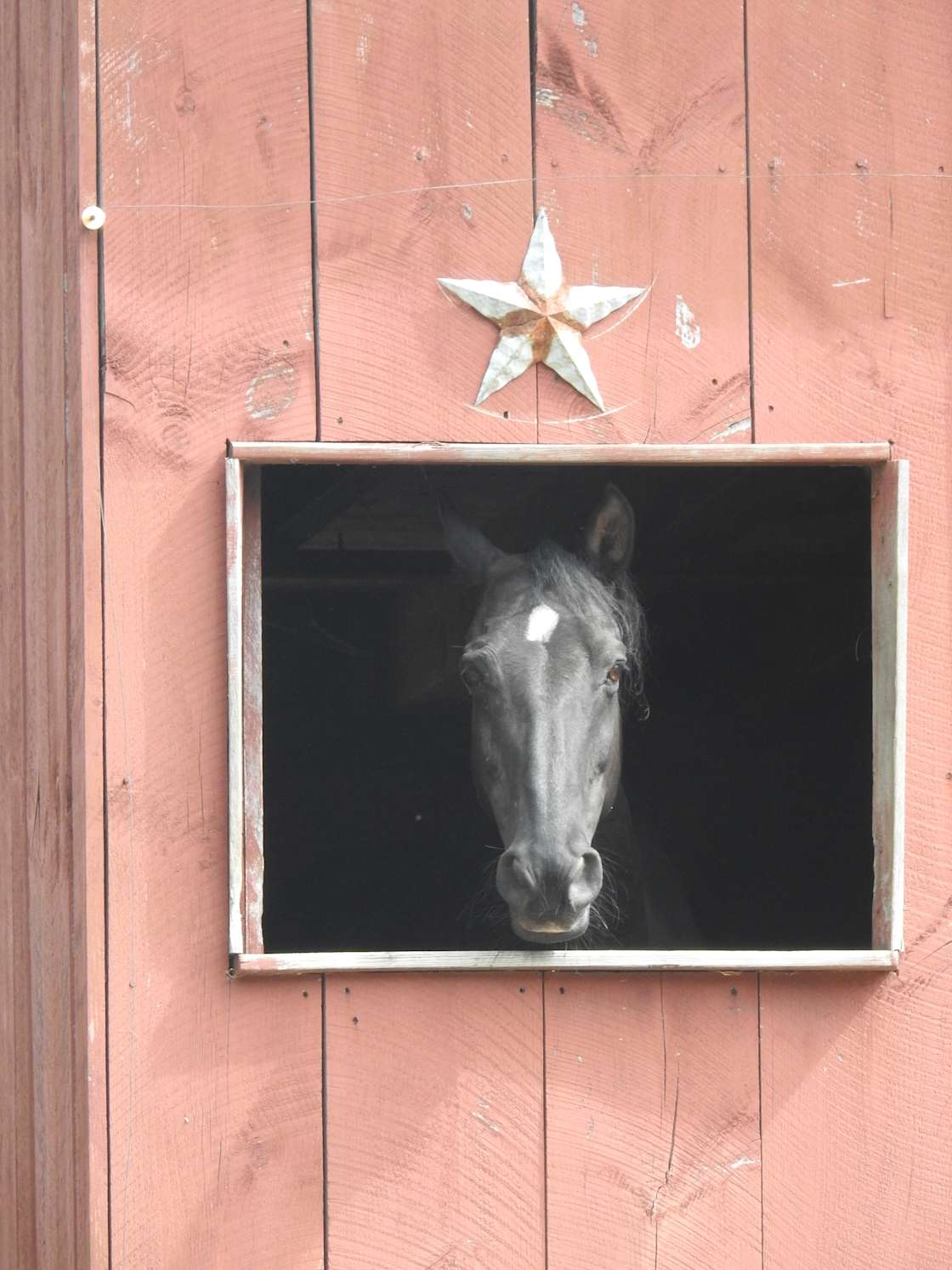 Grace Note Farm Inn Hipcamp in Pascoag, Rhode Island