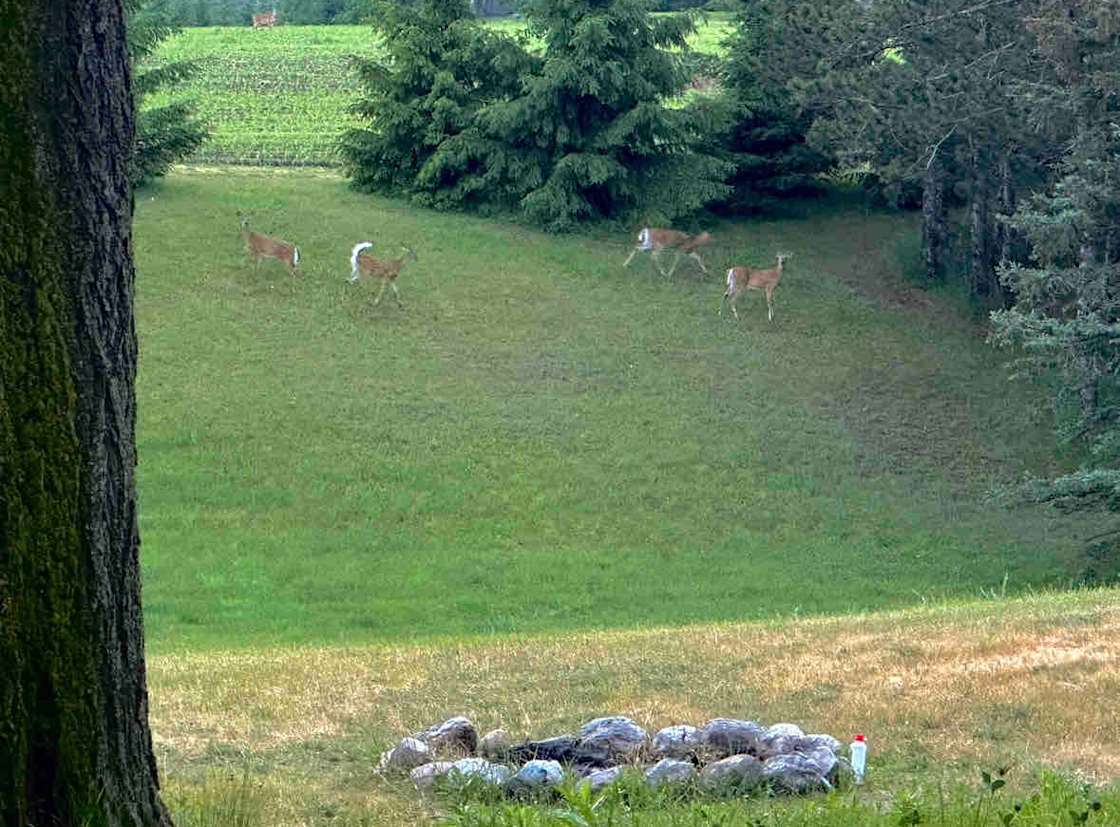 30AMP RV Site Near Torch Lake! Hipcamp in Charlevoix, Michigan