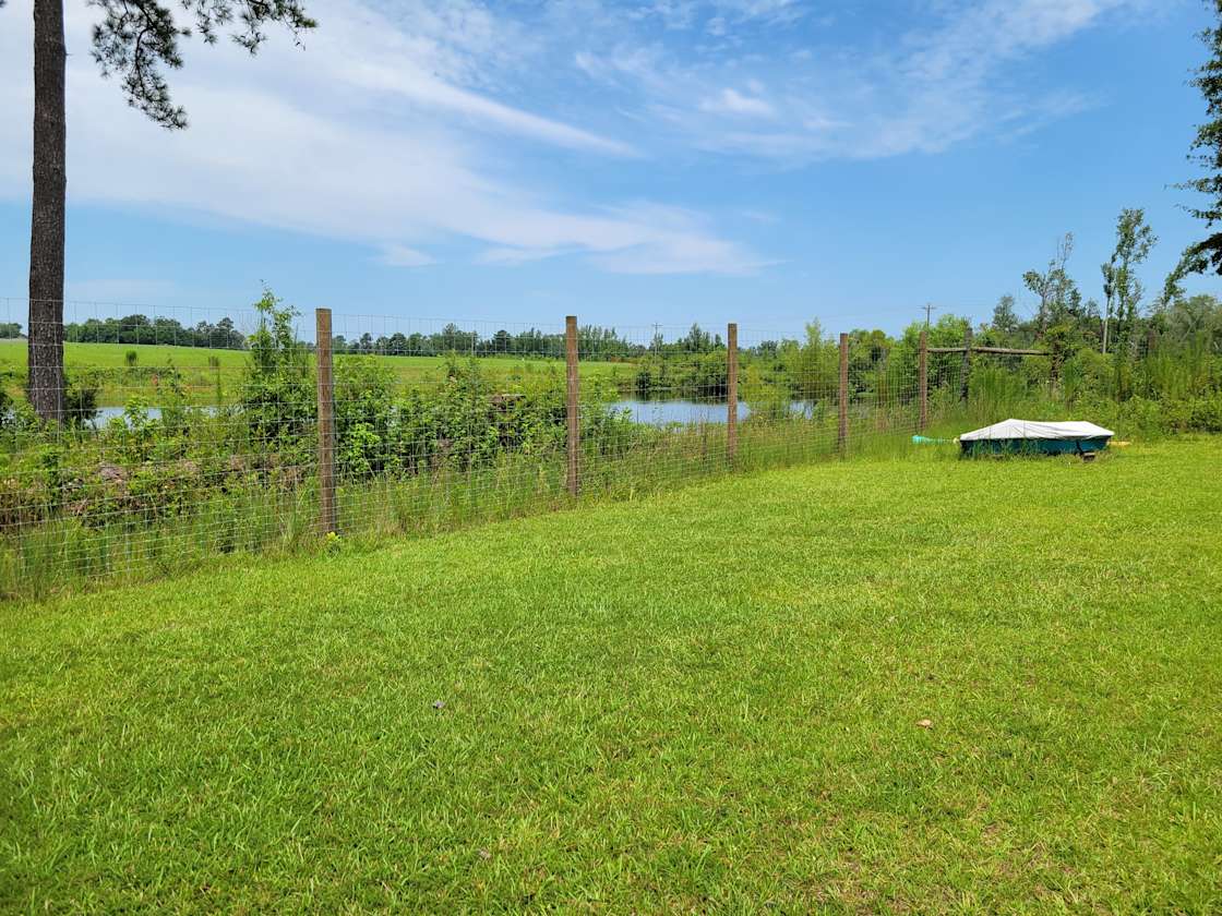 Sweet Blossom Alpaca Farm Hipcamp in Millen,