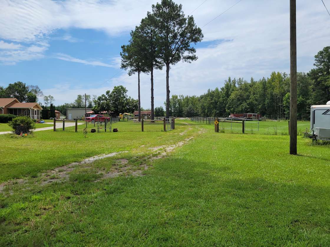 Sweet Blossom Alpaca Farm Hipcamp in Millen,