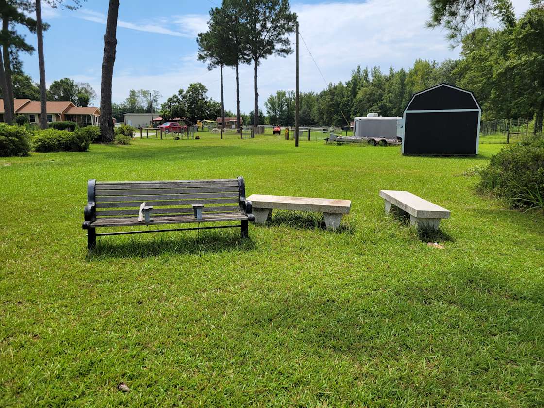 Sweet Blossom Alpaca Farm Hipcamp in Millen,