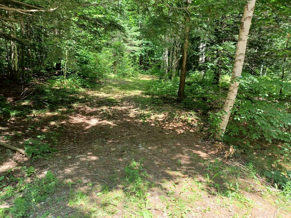 Four Leaf Camps Hipcamp in Dexter, Maine