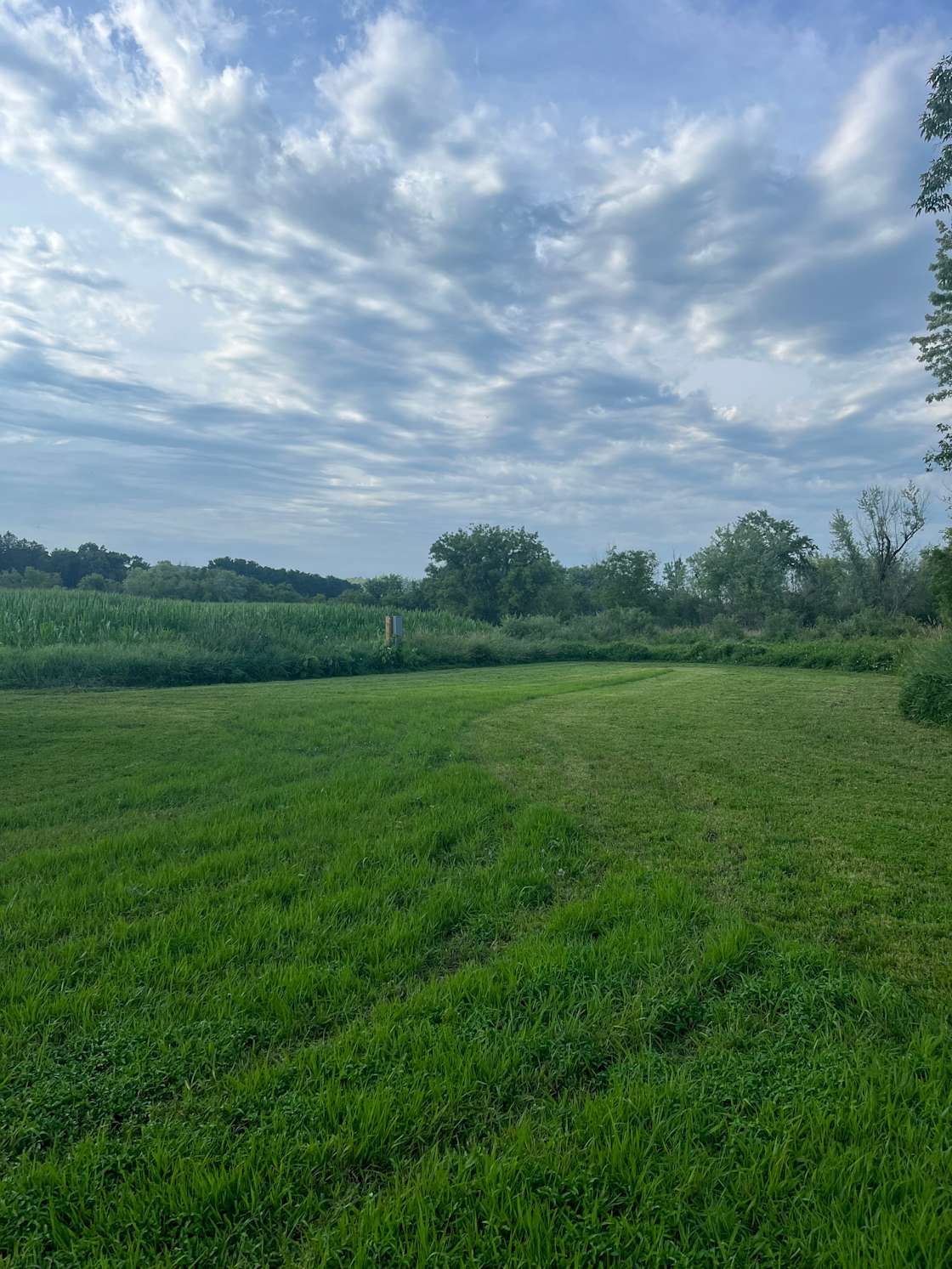 Buck bottoms Hipcamp in Mondovi, Wisconsin