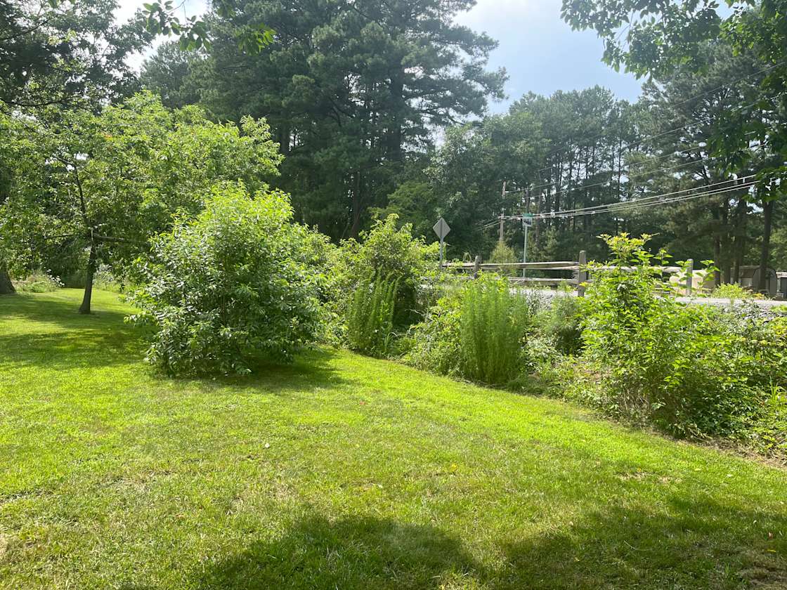 Camp Bike and Beach!! - Hipcamp in Lewes, Delaware