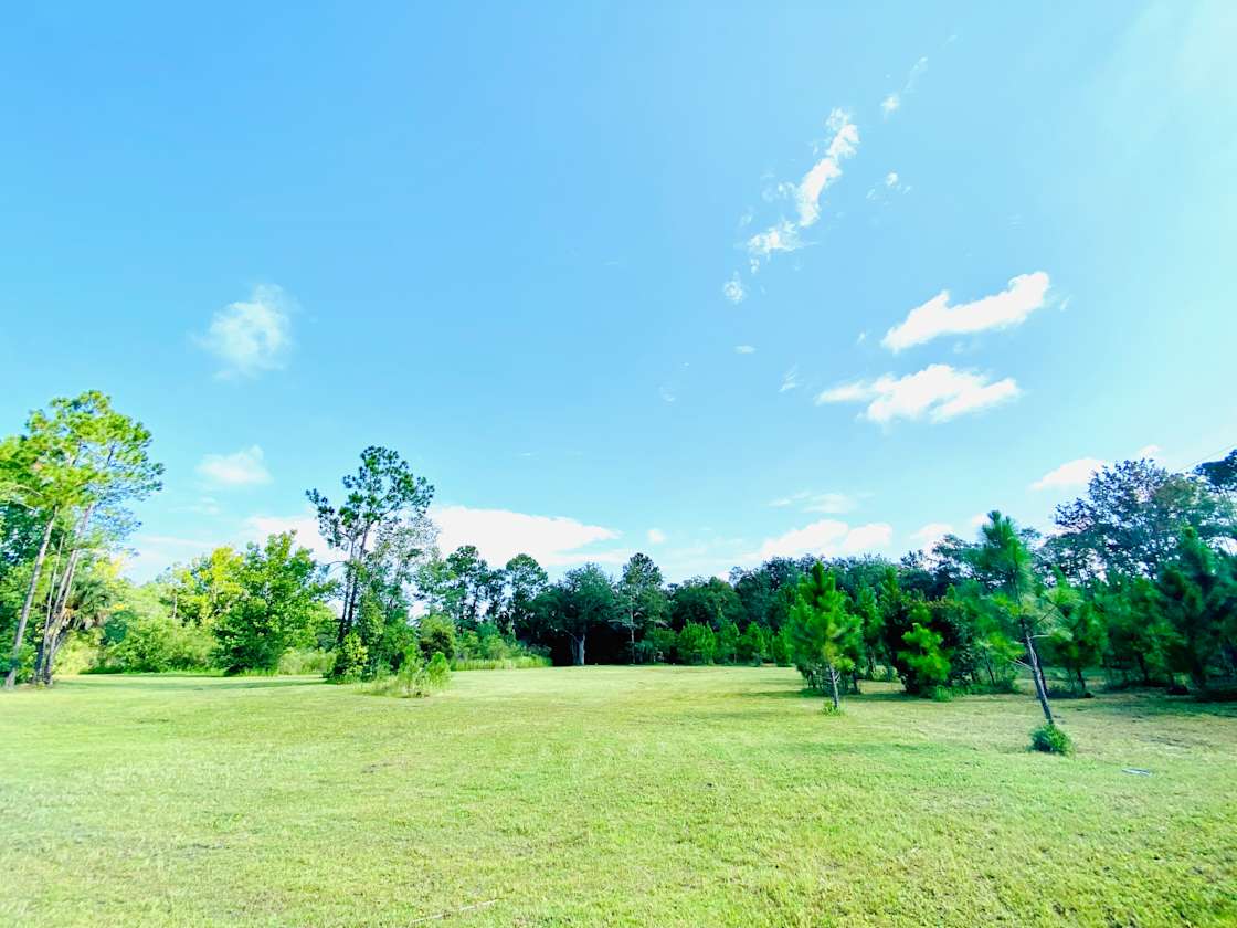 Park at Perdue Hipcamp in Jacksonville, Florida