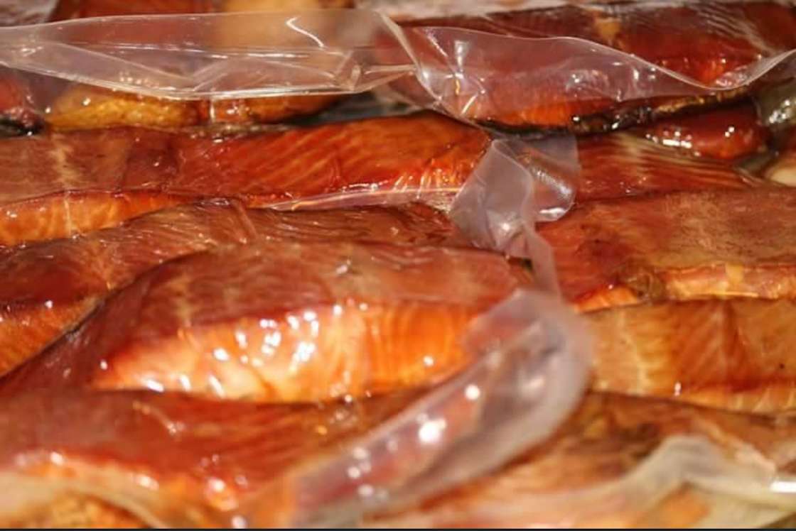 Quileute Coastal River Front Campin Hipcamp in Forks, Washington