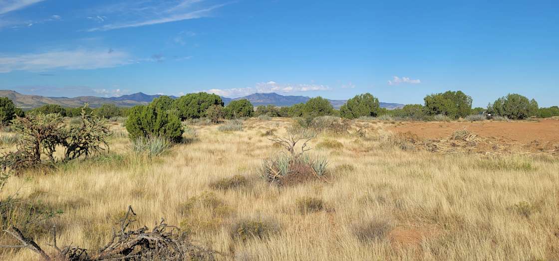 Hackberry Roots Ranch Hipcamp in Hackberry, Arizona