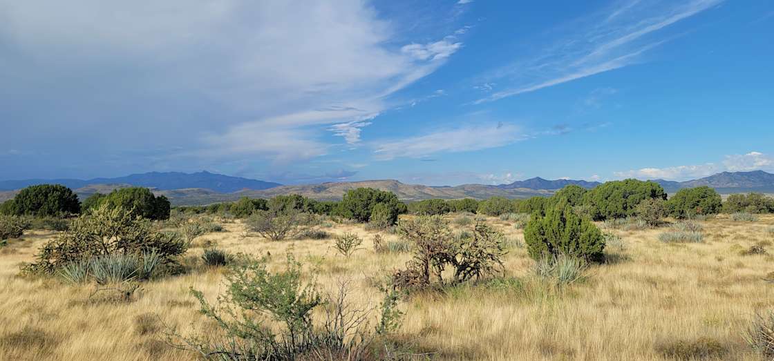 Hackberry Roots Ranch Hipcamp in Hackberry, Arizona