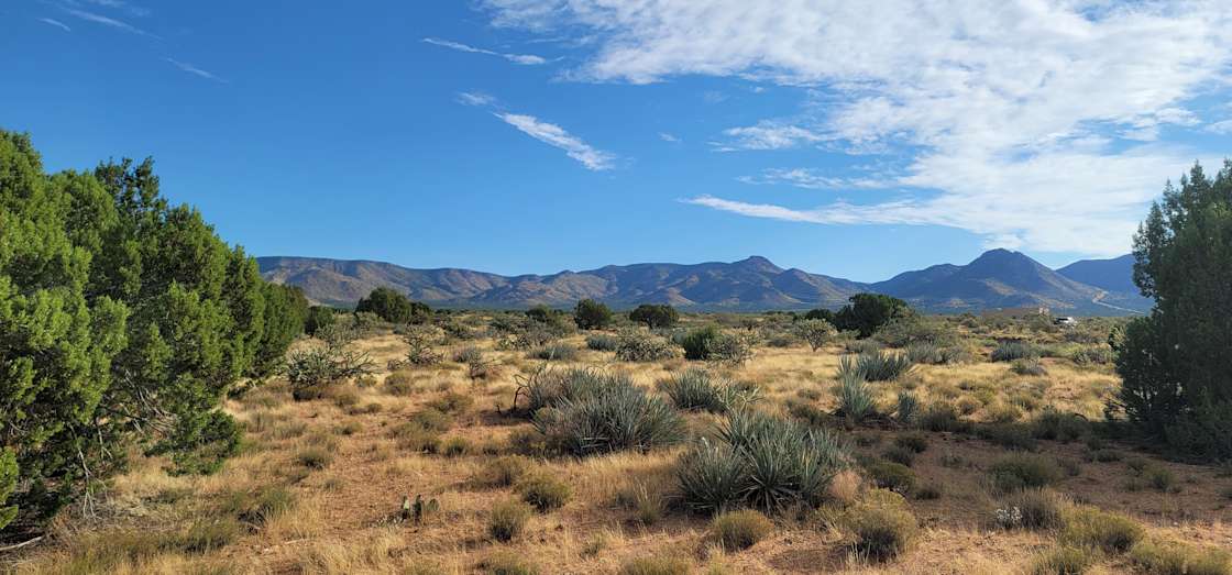Hackberry Roots Ranch Hipcamp in Hackberry, Arizona
