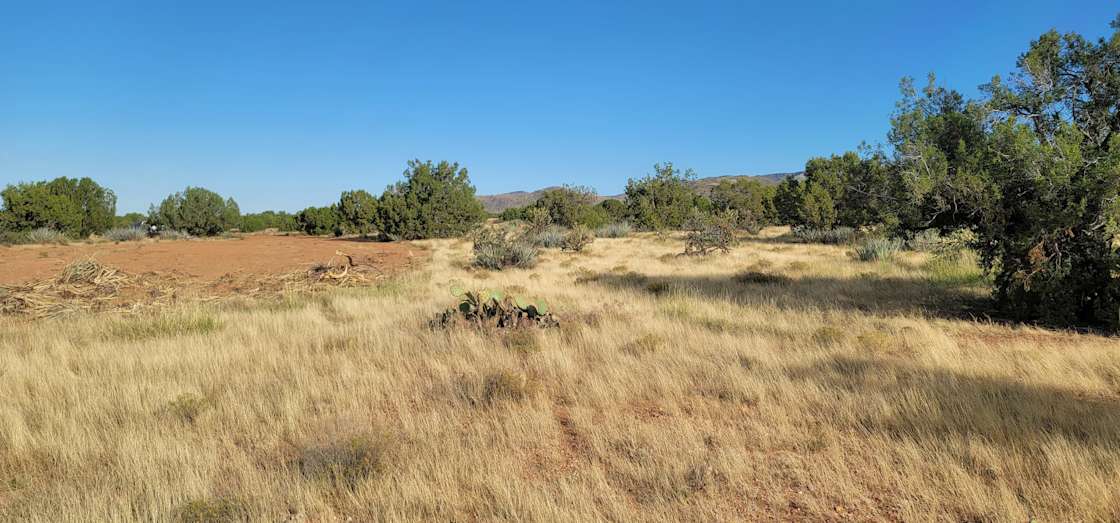 Hackberry Roots Ranch Hipcamp in Hackberry, Arizona