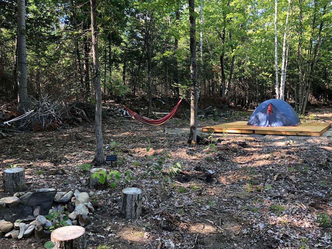 Cathedral Forests Hipcamp in Tehkummah, Ontario