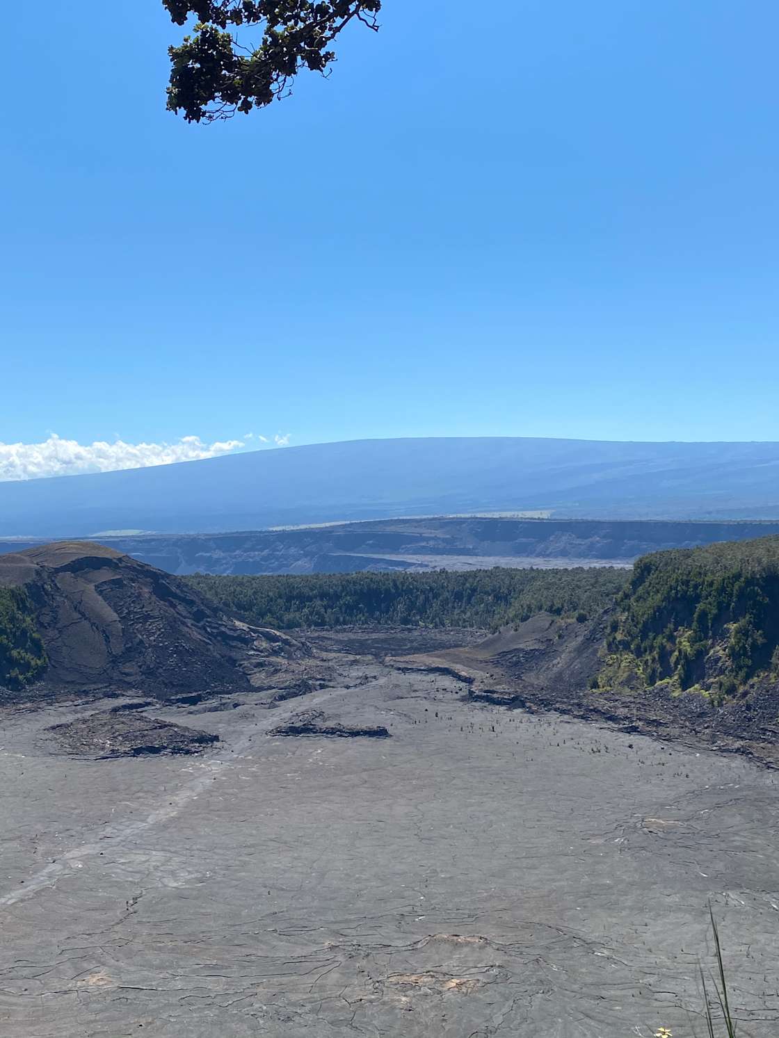 Glamping In Glenwood Hipcamp in Mountain View, Hawaii