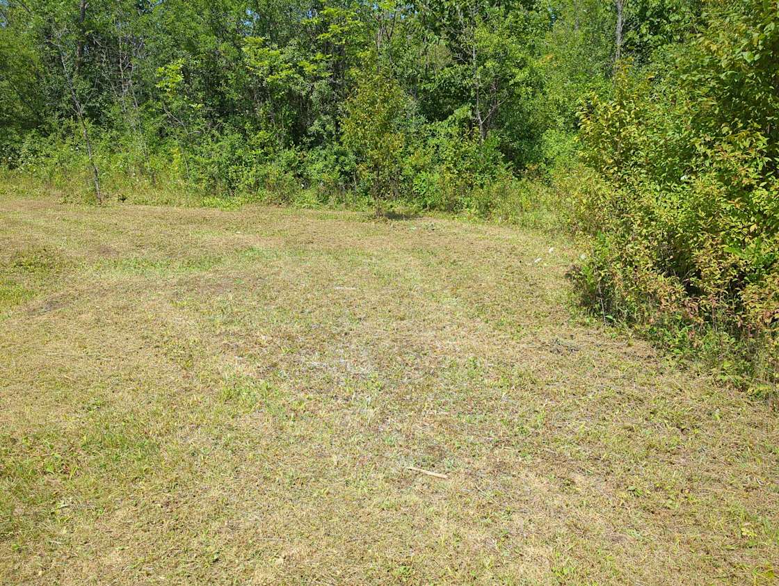 Enchanted Acres Hipcamp in Brockville, Ontario