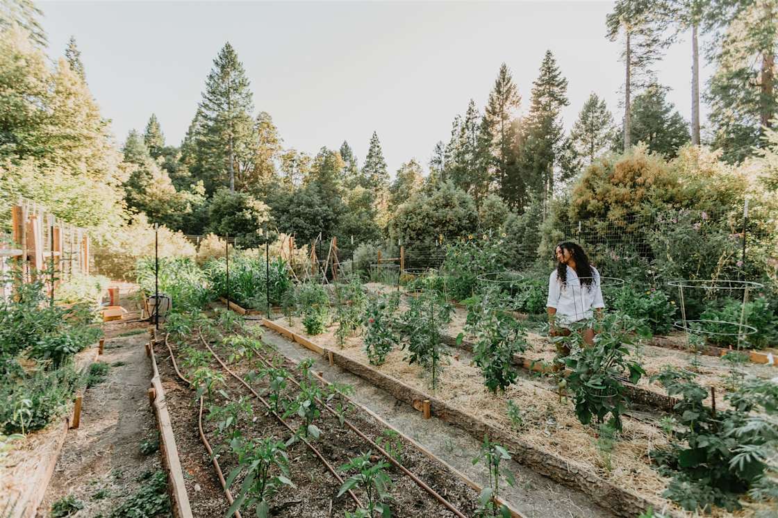 Madrone Village Hipcamp in Nevada City, California