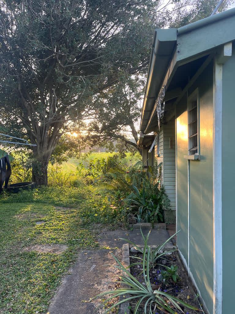 The Kite Campsite Hipcamp in Cooya Beach, Queensland