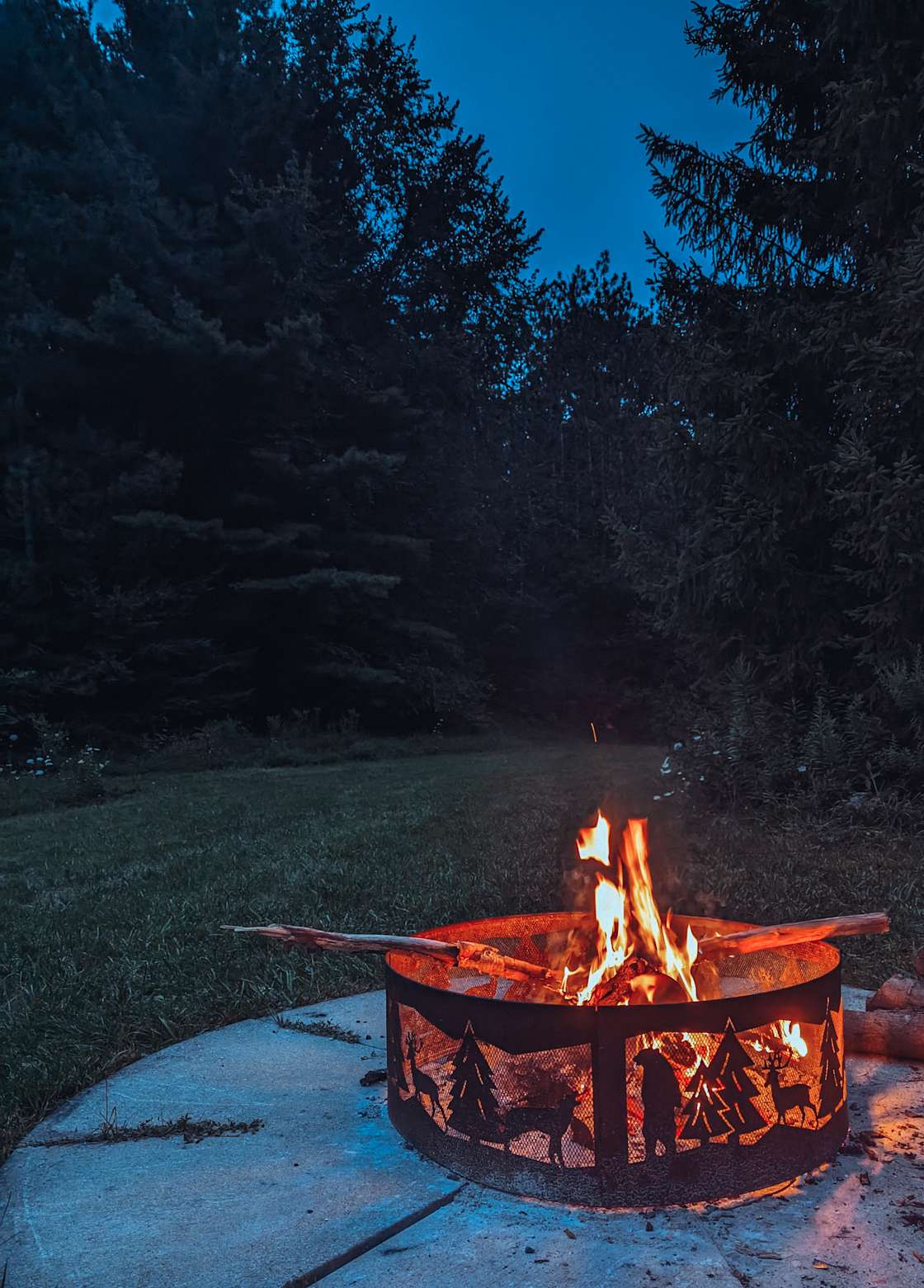 Braemar Valley Nature Sanctuary - Hipcamp in Woodstock, Ontario