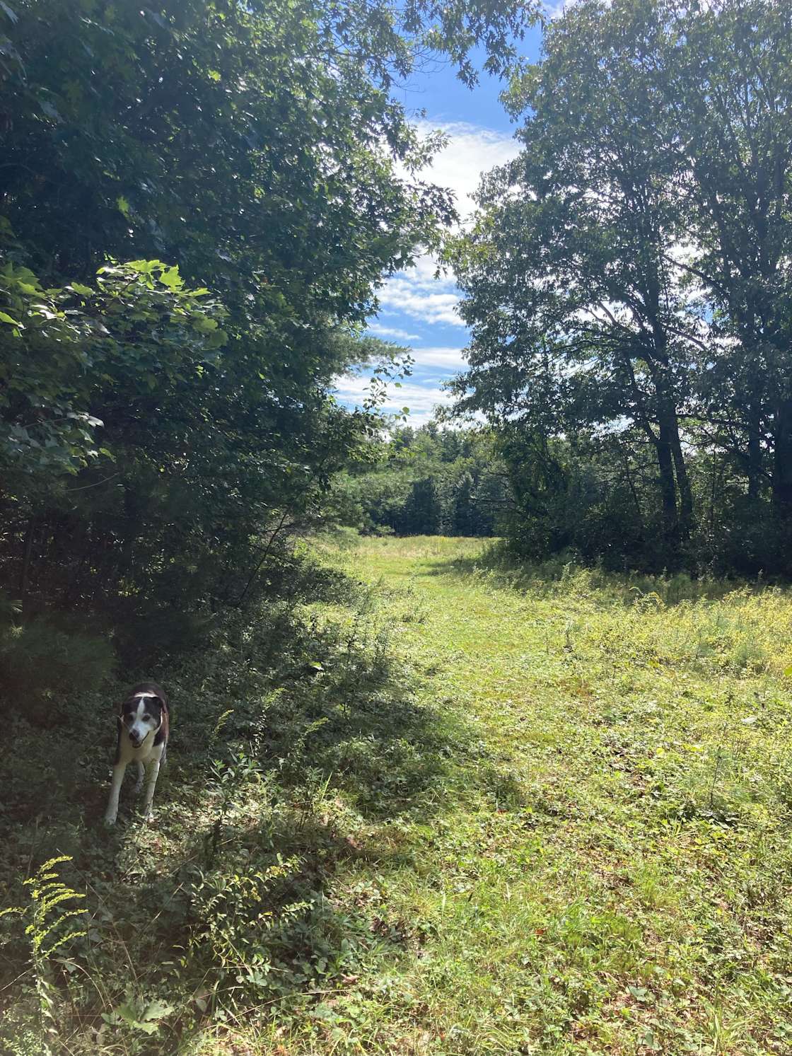 Neverdun Farm - Hipcamp in Arundel, Maine