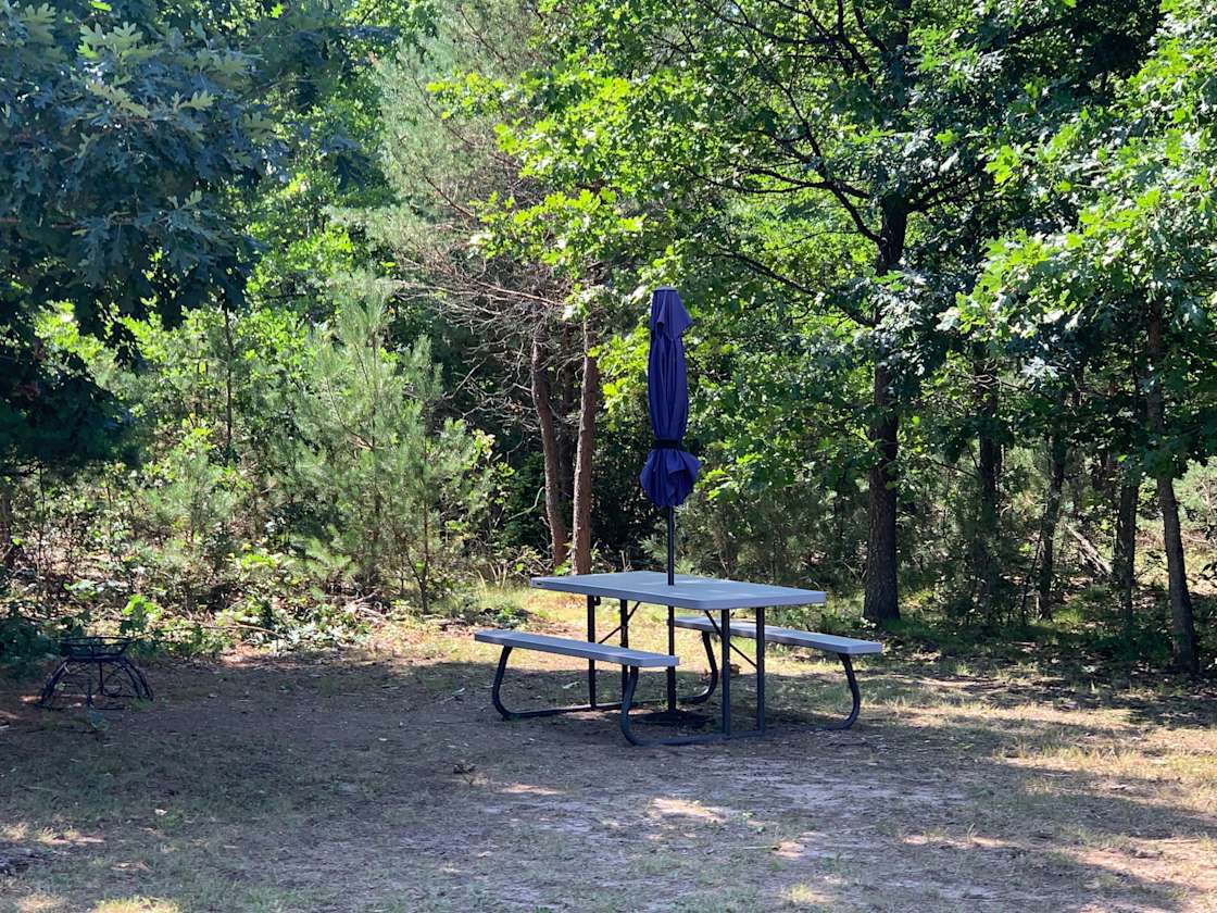 1247 E. Koenig Rd Freesoil MI 49411 Hipcamp in Free Soil, Michigan