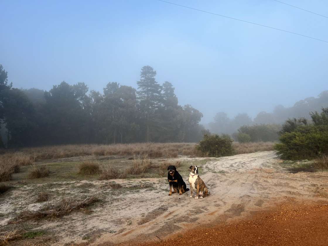South Branch Ranch Hipcamp in Bunbury, Western Australia