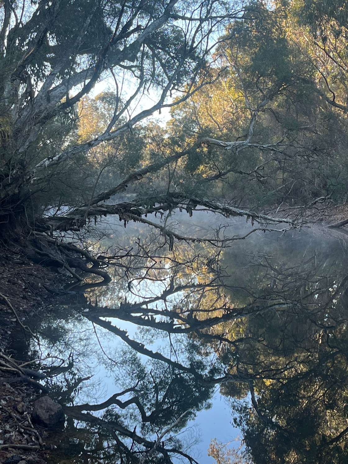 South Branch Ranch Hipcamp in Bunbury, Western Australia