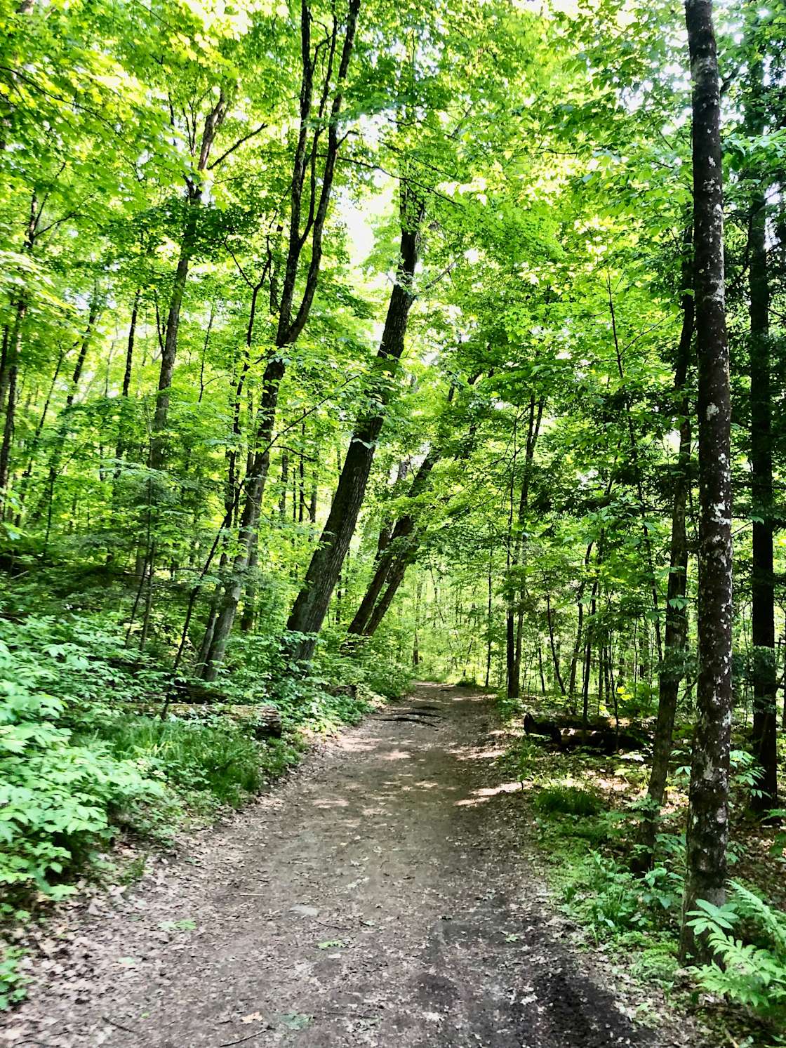 🔥🏕️ Lake Side Campsites 🛶🔥 Hipcamp in Grand Isle, Vermont