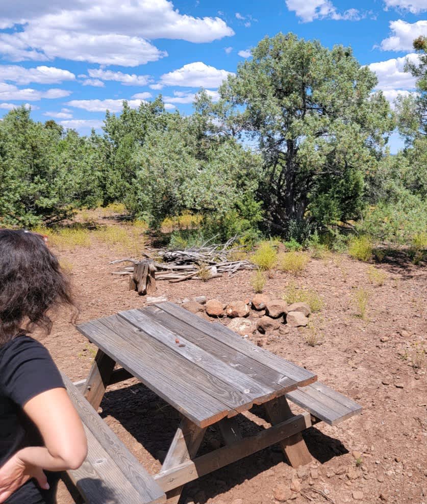 Hirsch Hideaway Hipcamp in Seligman, Arizona