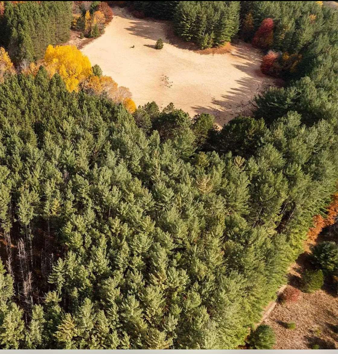 OASIS of Grand Traverse Hipcamp in Fife Lake, Michigan