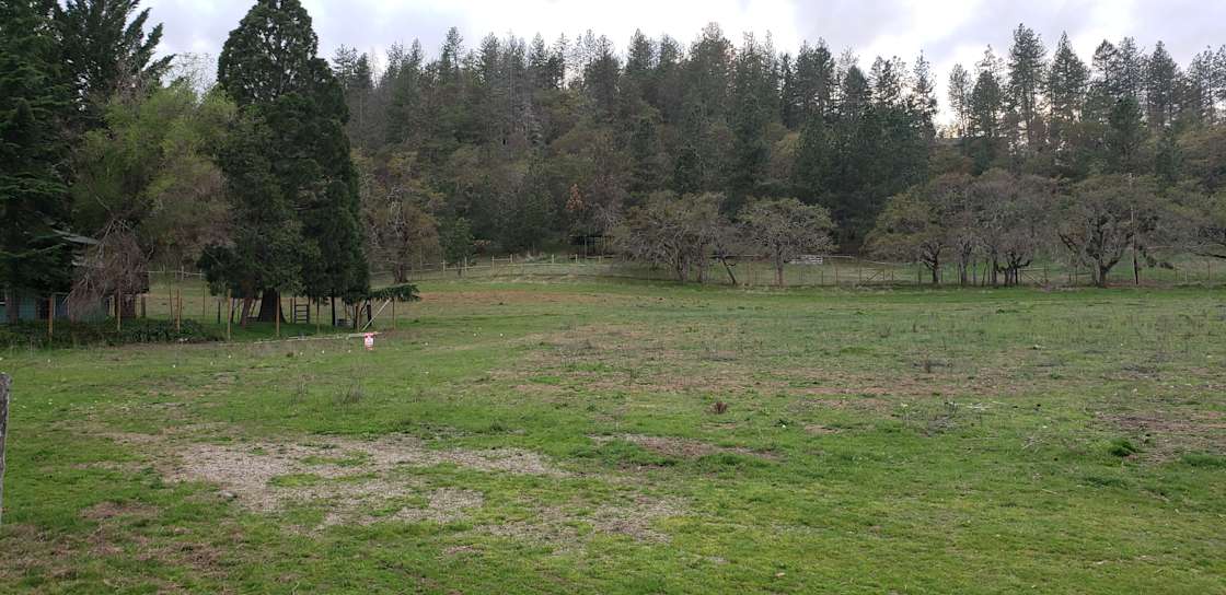 Griffin Creek Organics Hipcamp in Jacksonville, Oregon