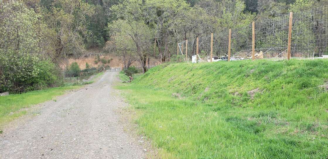 Griffin Creek Organics Hipcamp in Jacksonville, Oregon