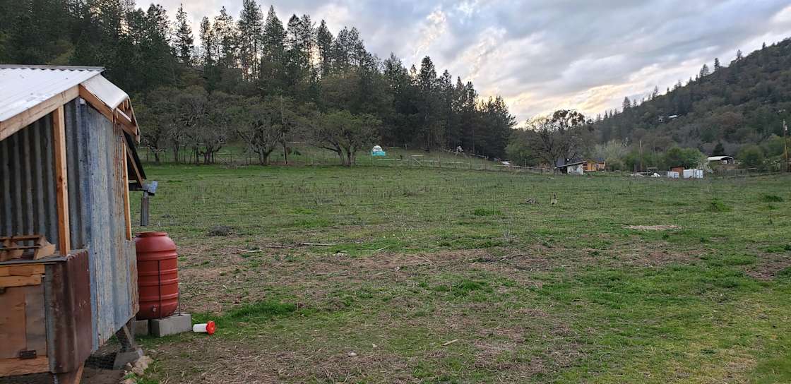 Griffin Creek Organics Hipcamp in Jacksonville, Oregon