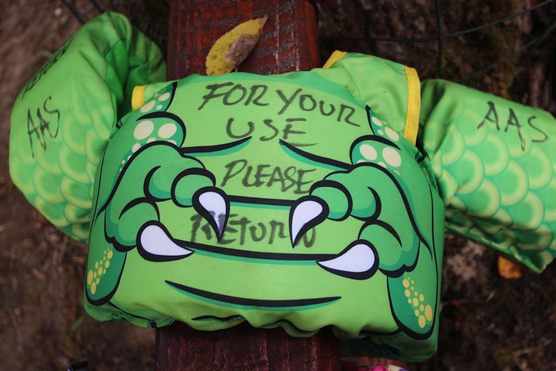 Castleberry Bridge Hipcamp in Dahlonega,