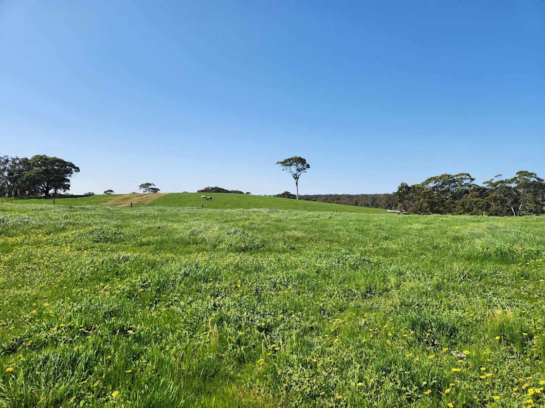 Brookside Farm Hipcamp in Bugle Ranges, South Australia