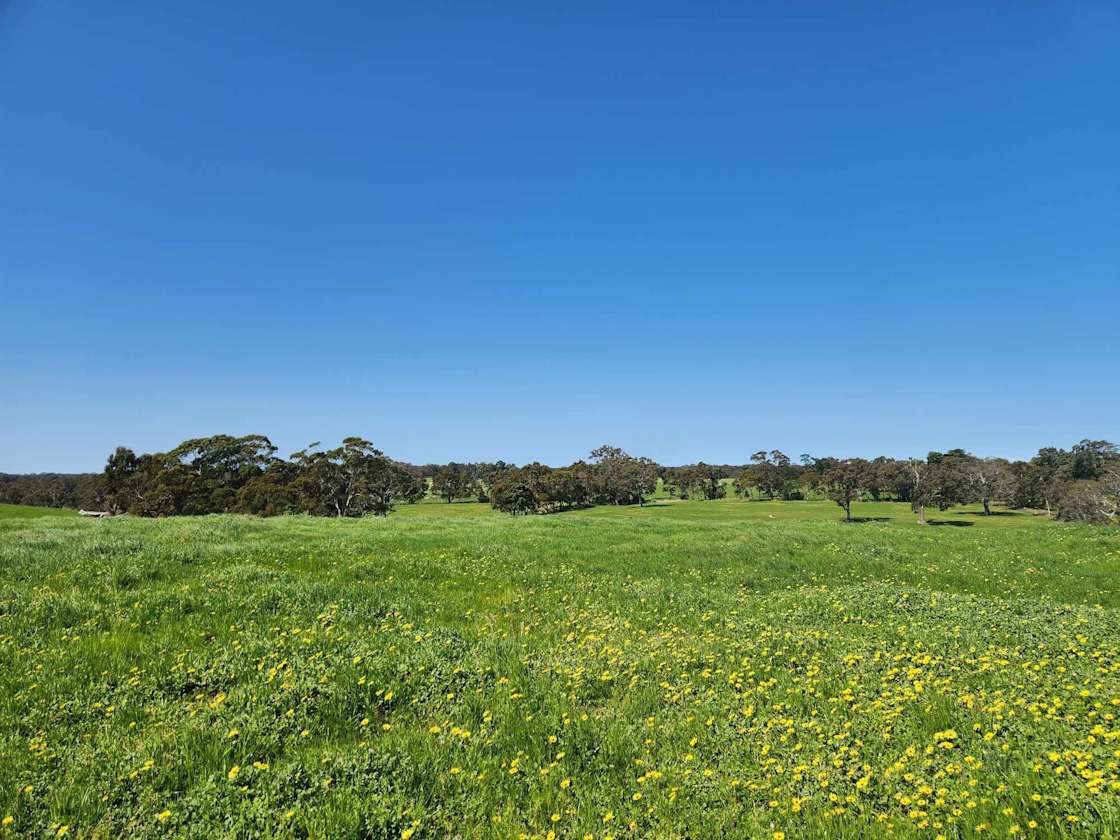 Brookside Farm - Hipcamp in Bugle Ranges, South Australia