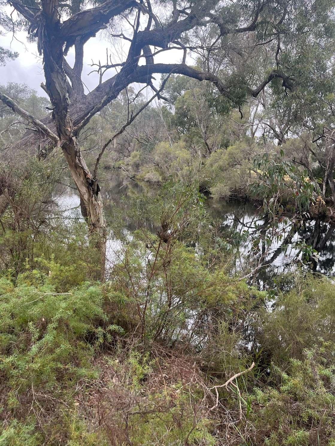 South Branch Ranch Hipcamp in Bunbury, Western Australia