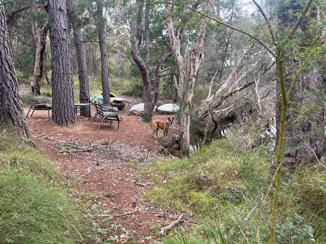 South Branch Ranch Hipcamp in Bunbury, Western Australia