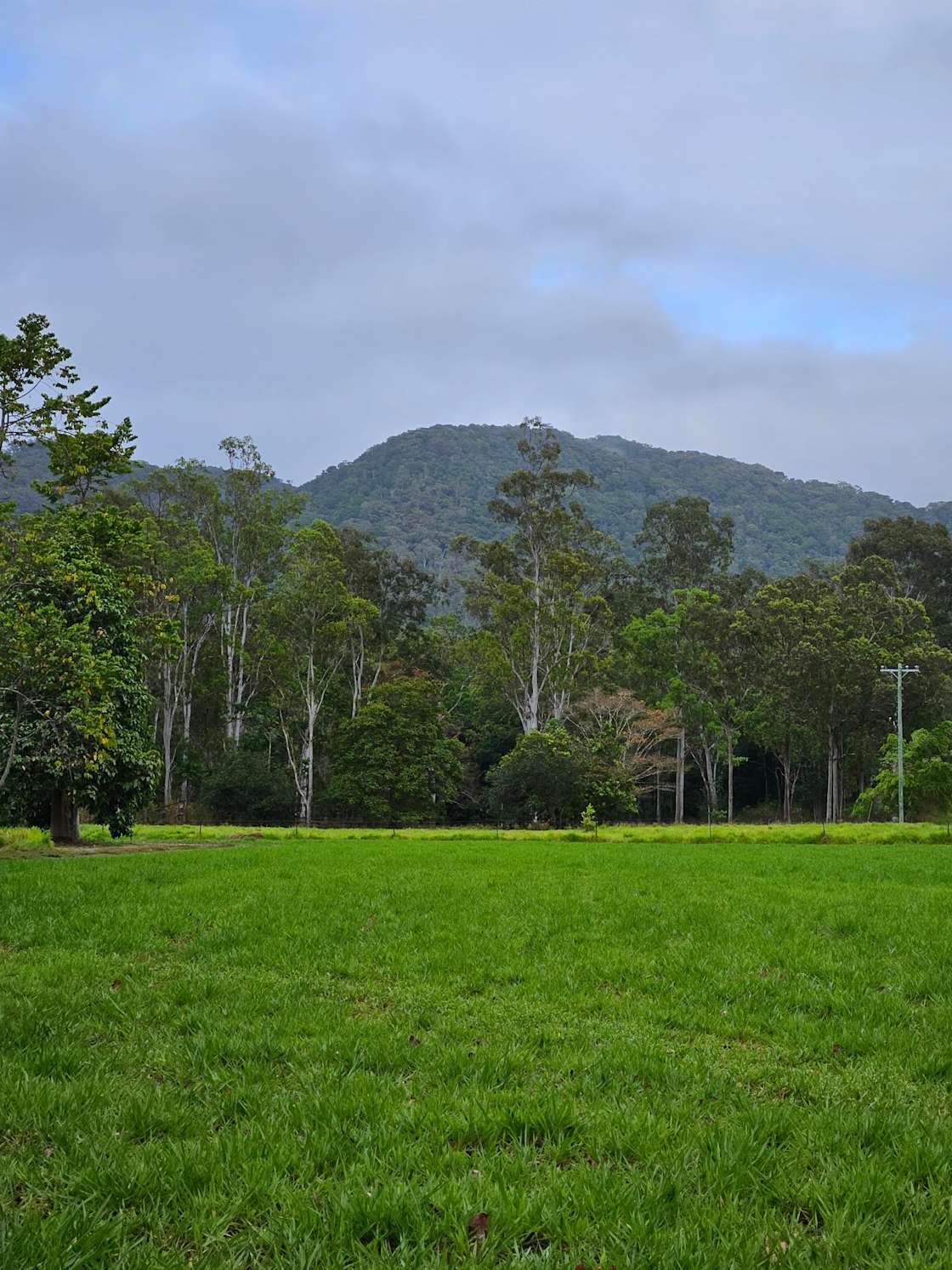 Rural Retreat Hipcamp in Julatten, Queensland