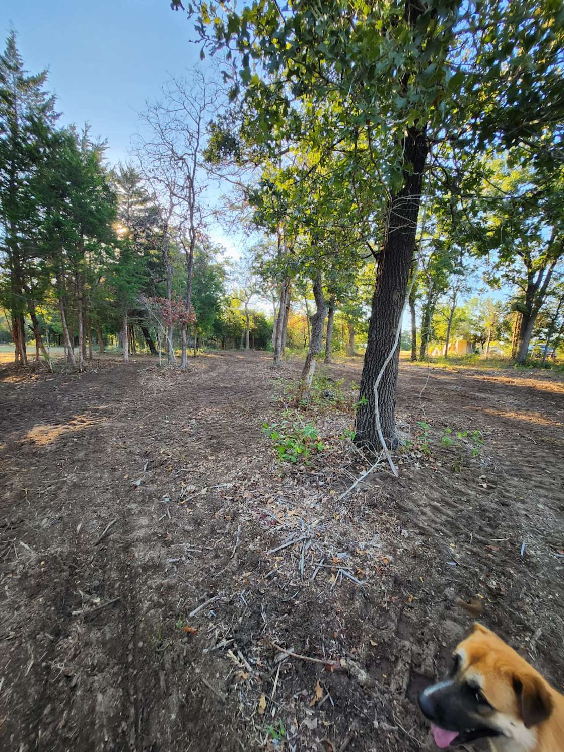 Romero Ranch Hipcamp in Dime Box, Texas