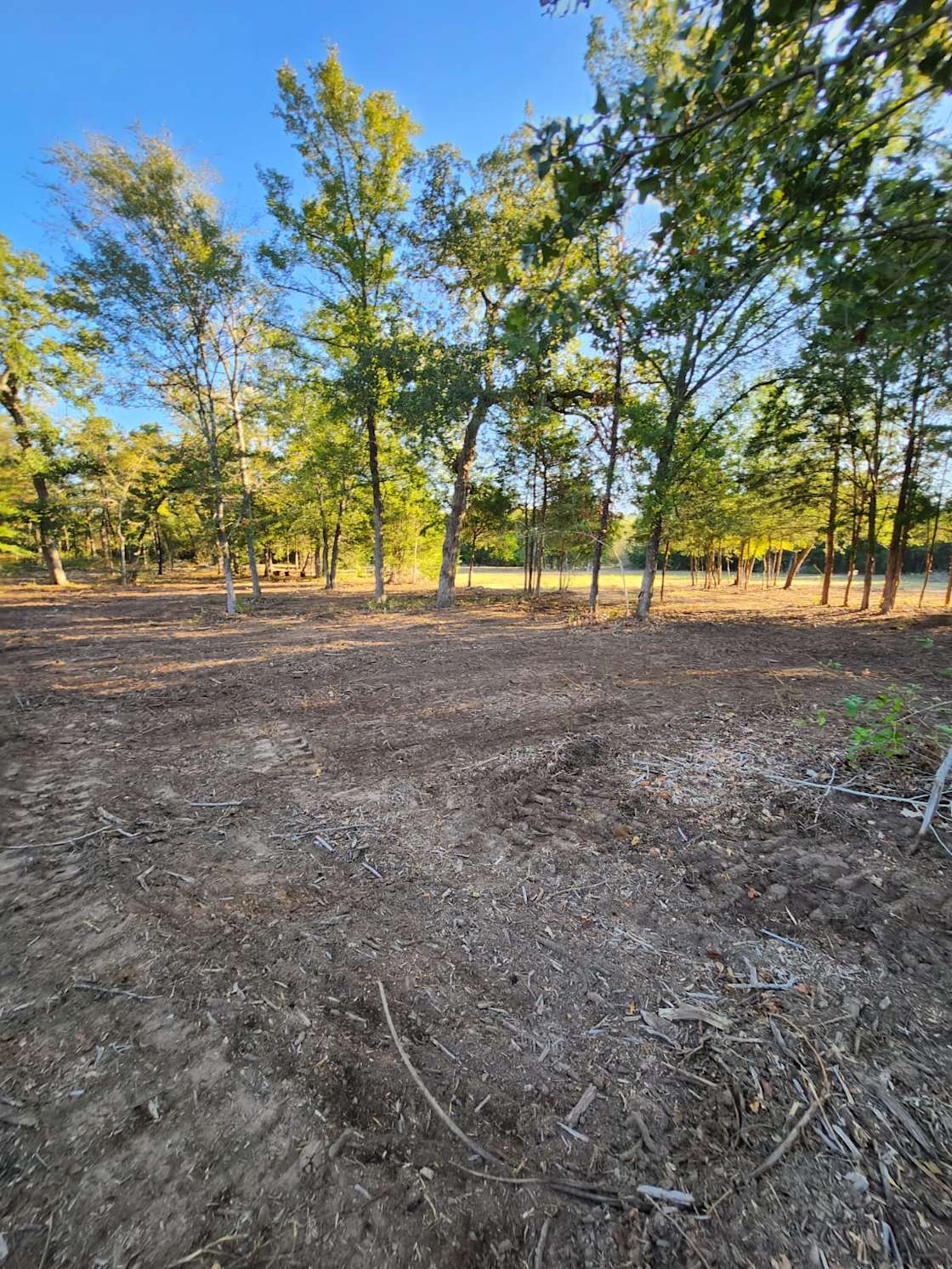 Romero Ranch Hipcamp in Dime Box, Texas