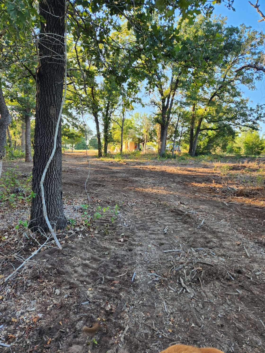 Romero Ranch Hipcamp in Dime Box, Texas